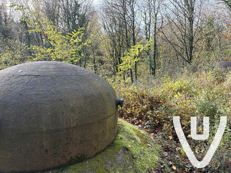 Fermé et sous video surveillance et alarme!