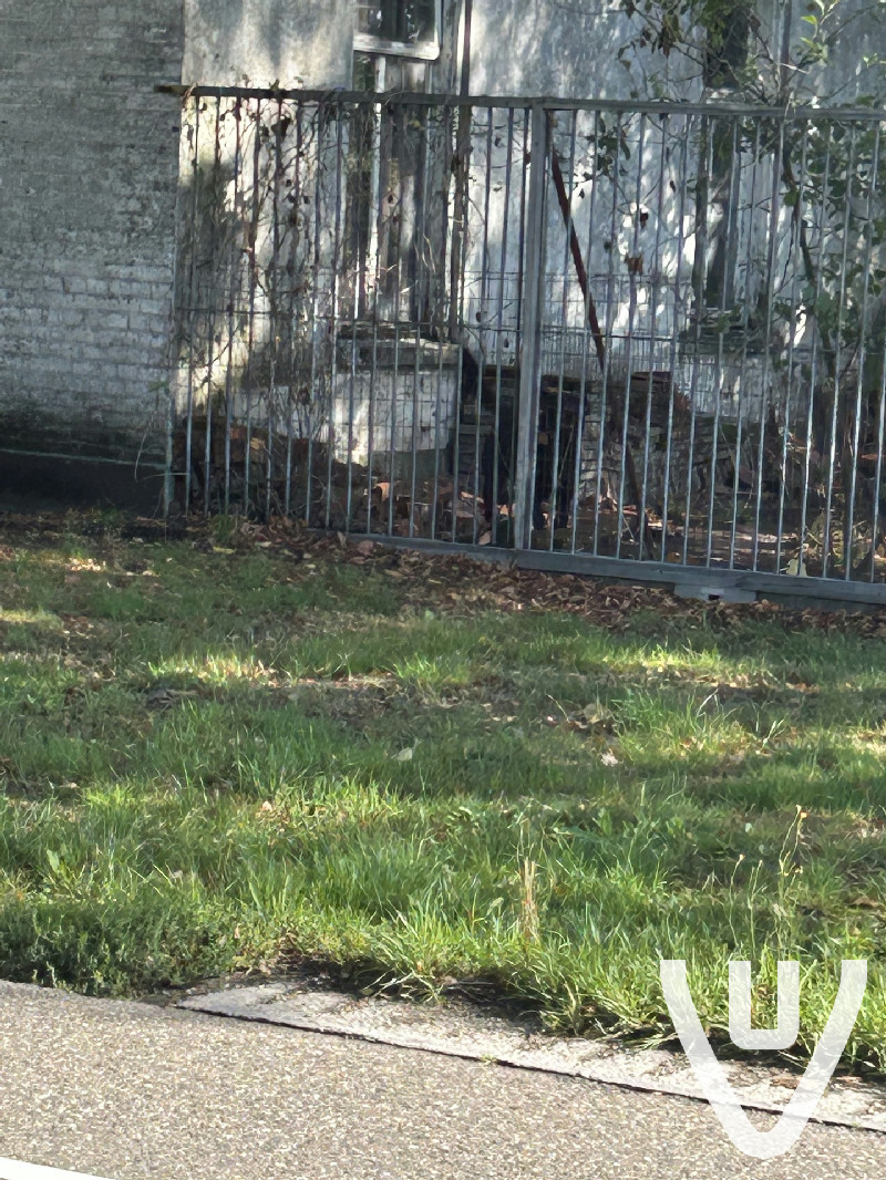 Location report evidence