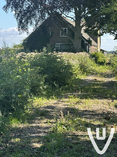 Was graag binnen wezen kijken maar helaas was ik alleen.. gauw eens terug.