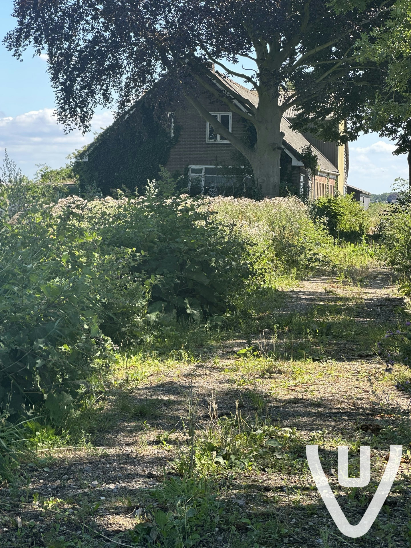Was graag binnen wezen kijken maar helaas was ik alleen.. gauw eens terug.